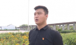 张云彬,揭秘科技巨头背后的创新力量